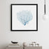 blue sea fan black frame wall decor
